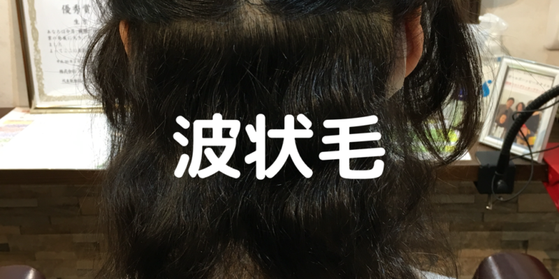 くせ毛の種類 Tsutomu Ubukata